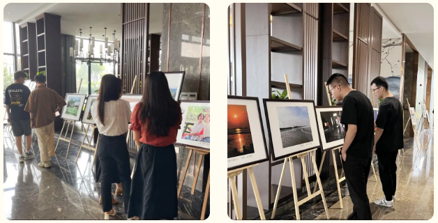 香港宝典免费资料网